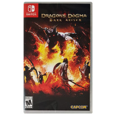 NS Dragon Dogma Dark Arisen NS Dragon Dogma Dark Arisen